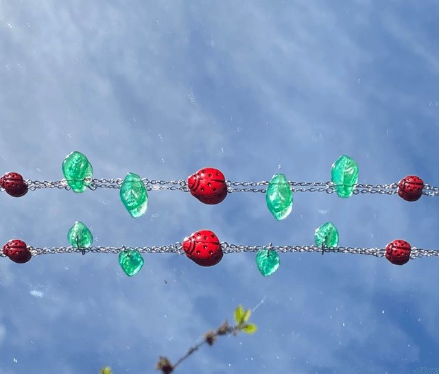 Coccinelle 