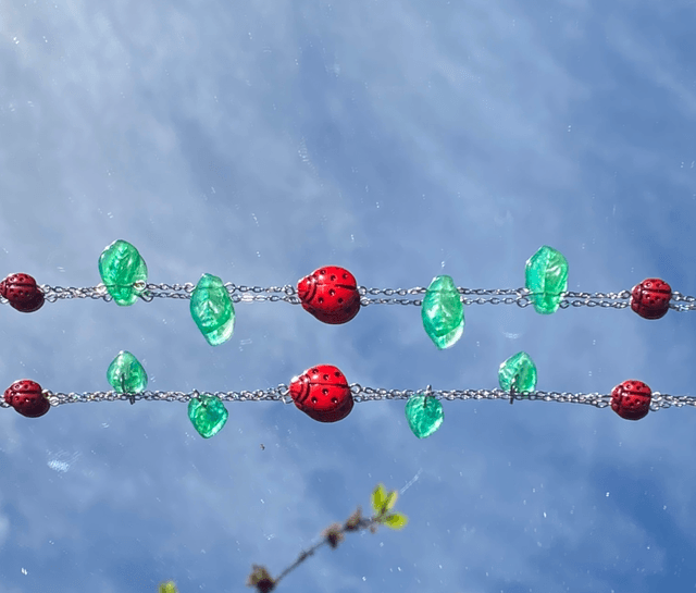 Coccinelle 